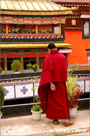 10_028_2005_08_tibet_0422_lhasa1