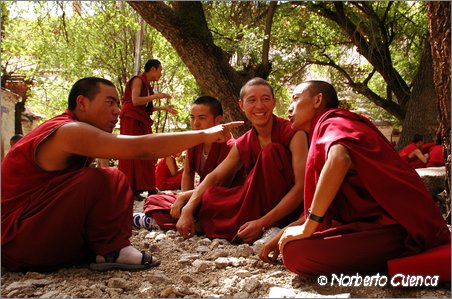 15_010_2005_08_tibet_0106_lhasa1